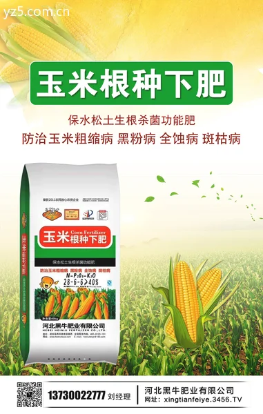 未来一个月玉米行情 近期玉米价格 未来价格走势