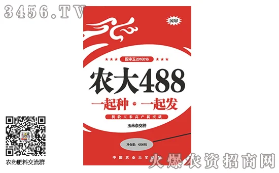 2020年怎样选购优质玉米种子 选购绝招