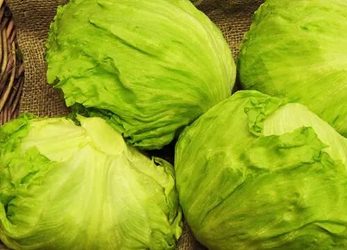 仓鼠可以吃生菜吗，仓鼠可以吃生菜花么