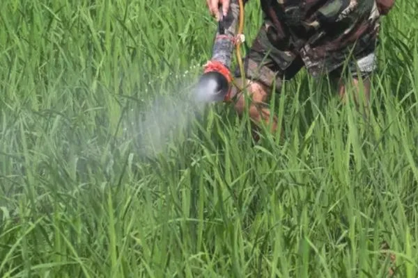 四霉素不能与哪些杀菌剂混用