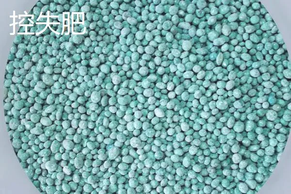 控释肥和控失肥有什么区别