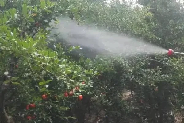除草剂打完几个小时下雨没事