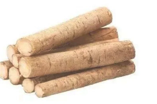 牛蒡是山药吗怎么吃 牛蒡的吃法和营养价值