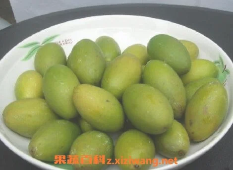橄榄核的功效与作用