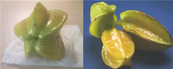 杨桃什么季节成熟 杨桃开花到成熟多久