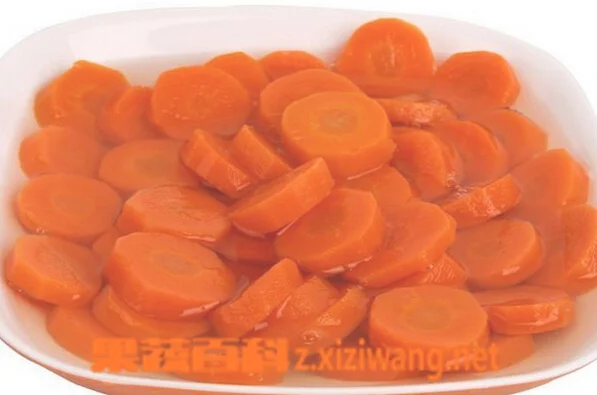 胡萝卜煮水的功效