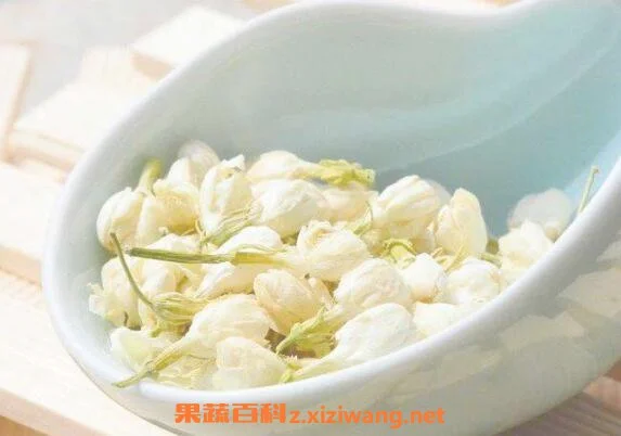 鲜茉莉可以泡水喝吗