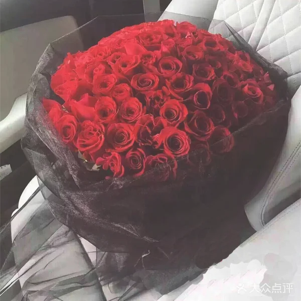 66朵玫瑰花的图片