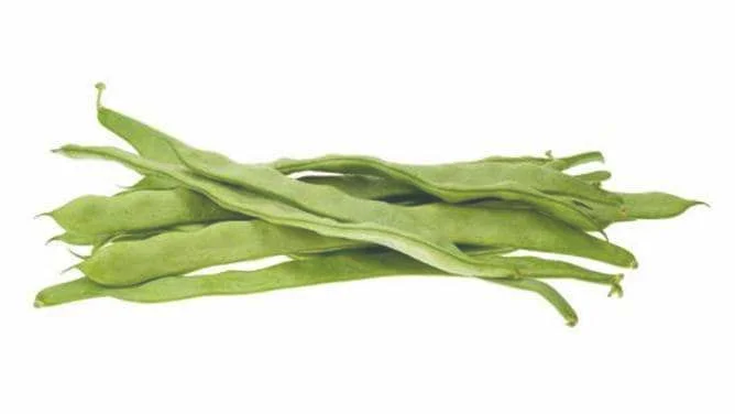 再也不要瞧不起芸豆了!芸豆中的营养成分你都知道吗?